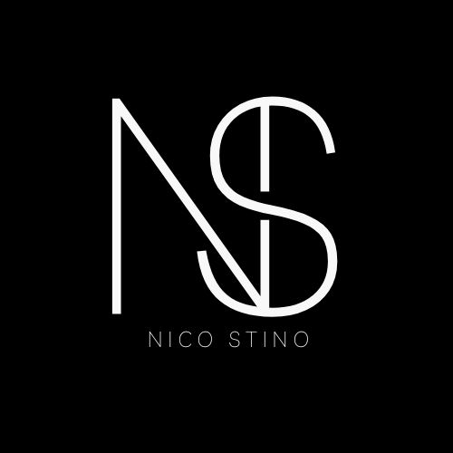 NICO STINO BOOK AUTHOR